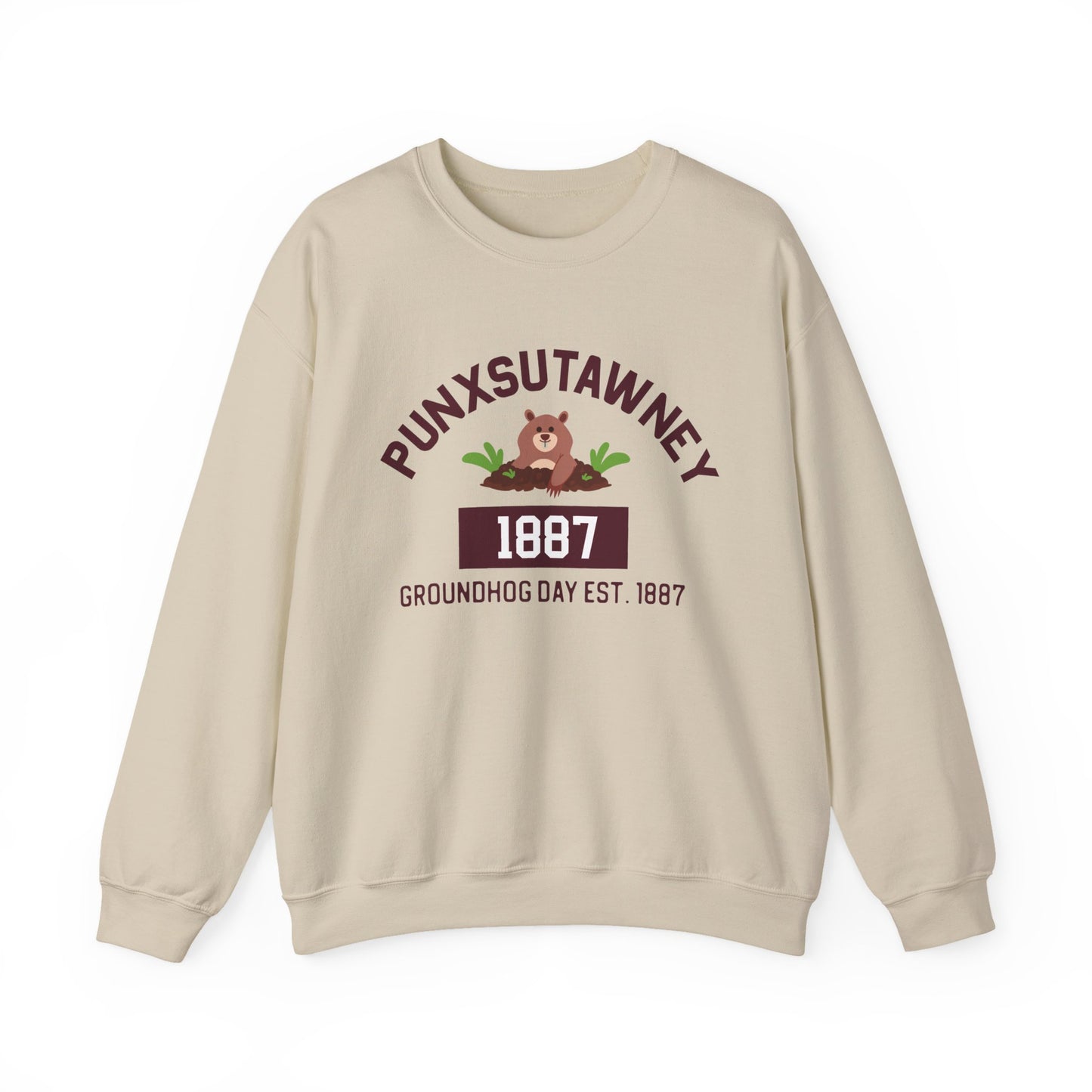 Copy of Graphic Groundhog Day Sweatshirt, Happy Groundhog Day Shirt, Funny Groundhog Shirt, Funny Nurse Groundhog Day Shirt, Groundhog Lovers Tops