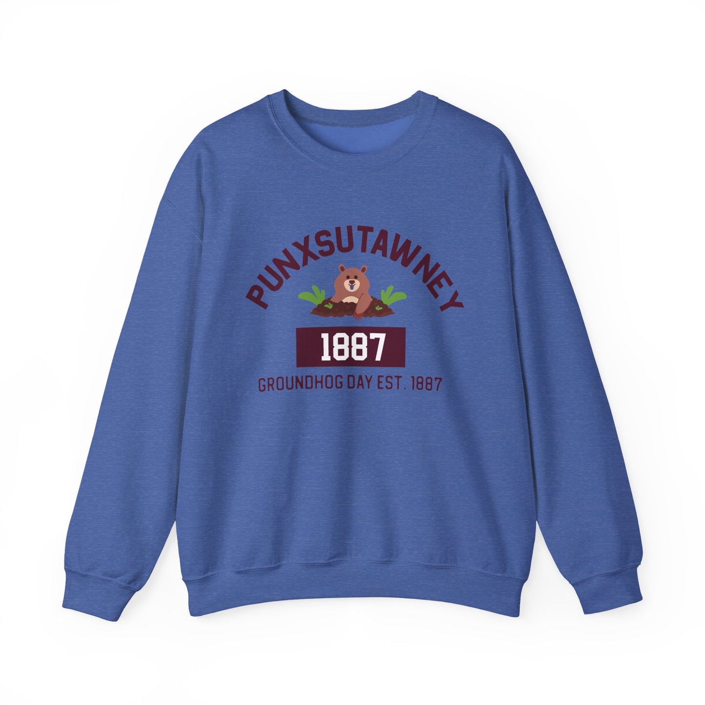 Copy of Graphic Groundhog Day Sweatshirt, Happy Groundhog Day Shirt, Funny Groundhog Shirt, Funny Nurse Groundhog Day Shirt, Groundhog Lovers Tops