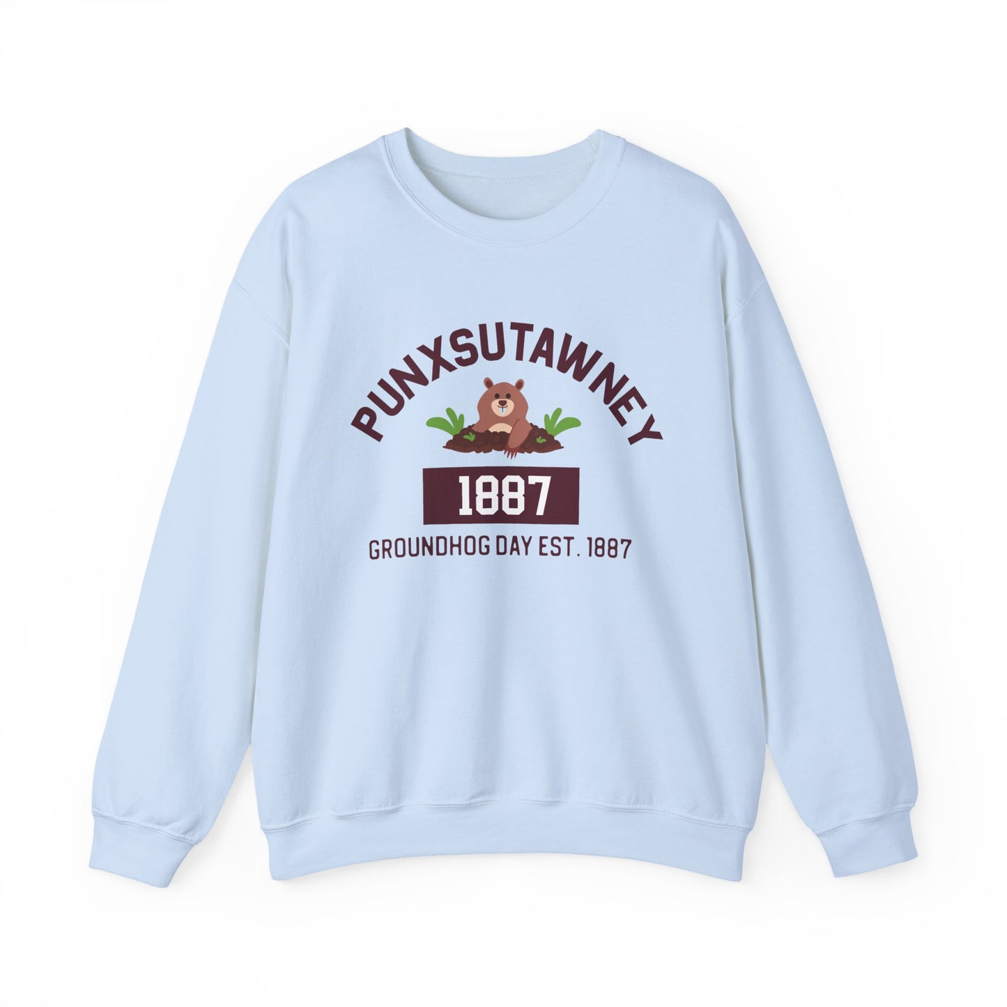 Copy of Graphic Groundhog Day Sweatshirt, Happy Groundhog Day Shirt, Funny Groundhog Shirt, Funny Nurse Groundhog Day Shirt, Groundhog Lovers Tops