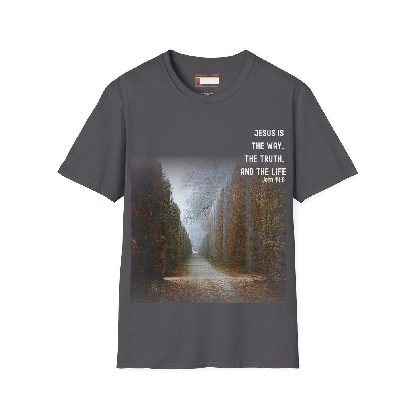 Graphic Christian Bible Gospel Unisex Comfort T-shirt