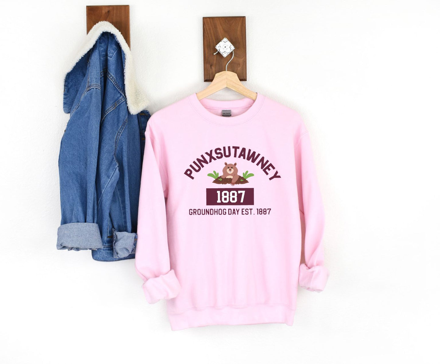 Graphic Groundhog Day Sweatshirt, Happy Groundhog Day Shirt