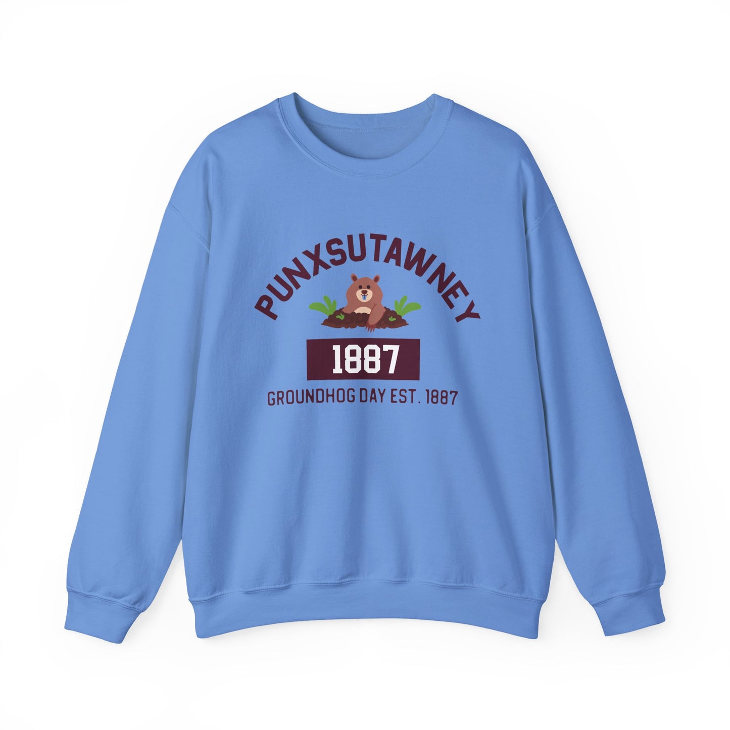 Copy of Graphic Groundhog Day Sweatshirt, Happy Groundhog Day Shirt, Funny Groundhog Shirt, Funny Nurse Groundhog Day Shirt, Groundhog Lovers Tops