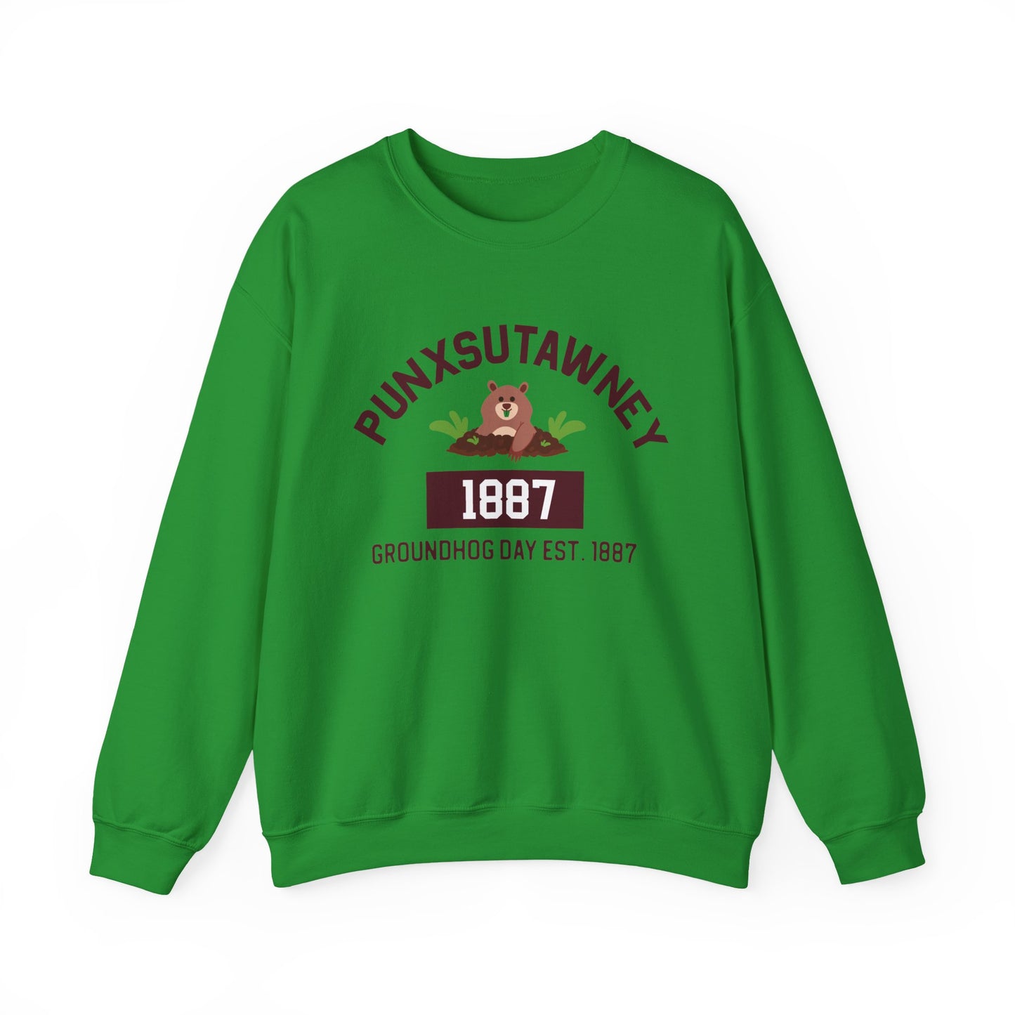 Copy of Graphic Groundhog Day Sweatshirt, Happy Groundhog Day Shirt, Funny Groundhog Shirt, Funny Nurse Groundhog Day Shirt, Groundhog Lovers Tops