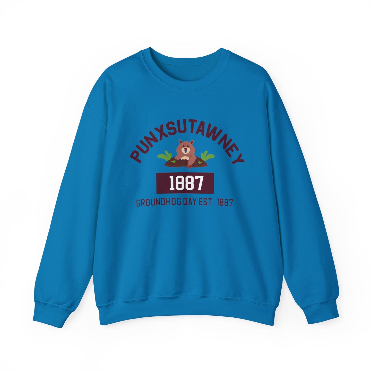 Copy of Graphic Groundhog Day Sweatshirt, Happy Groundhog Day Shirt, Funny Groundhog Shirt, Funny Nurse Groundhog Day Shirt, Groundhog Lovers Tops