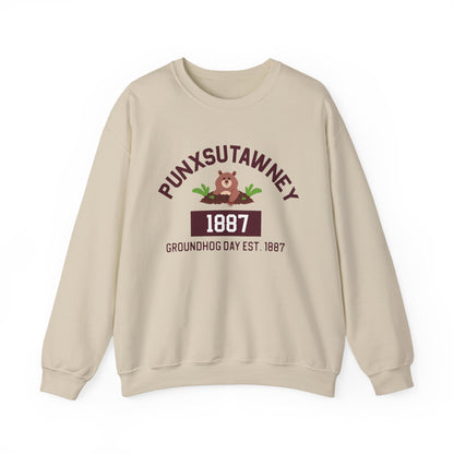 Copy of Graphic Groundhog Day Sweatshirt, Happy Groundhog Day Shirt, Funny Groundhog Shirt, Funny Nurse Groundhog Day Shirt, Groundhog Lovers Tops