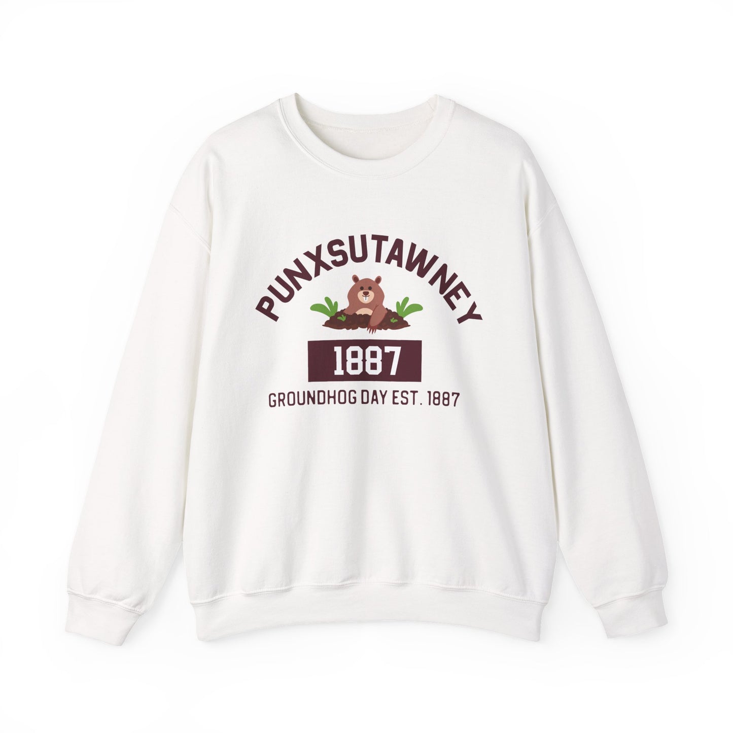 Copy of Graphic Groundhog Day Sweatshirt, Happy Groundhog Day Shirt, Funny Groundhog Shirt, Funny Nurse Groundhog Day Shirt, Groundhog Lovers Tops