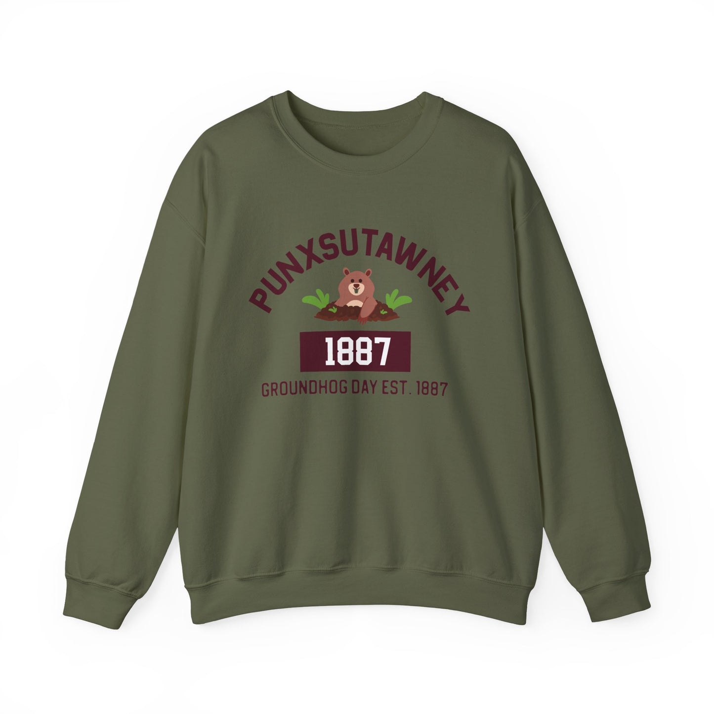 Copy of Graphic Groundhog Day Sweatshirt, Happy Groundhog Day Shirt, Funny Groundhog Shirt, Funny Nurse Groundhog Day Shirt, Groundhog Lovers Tops