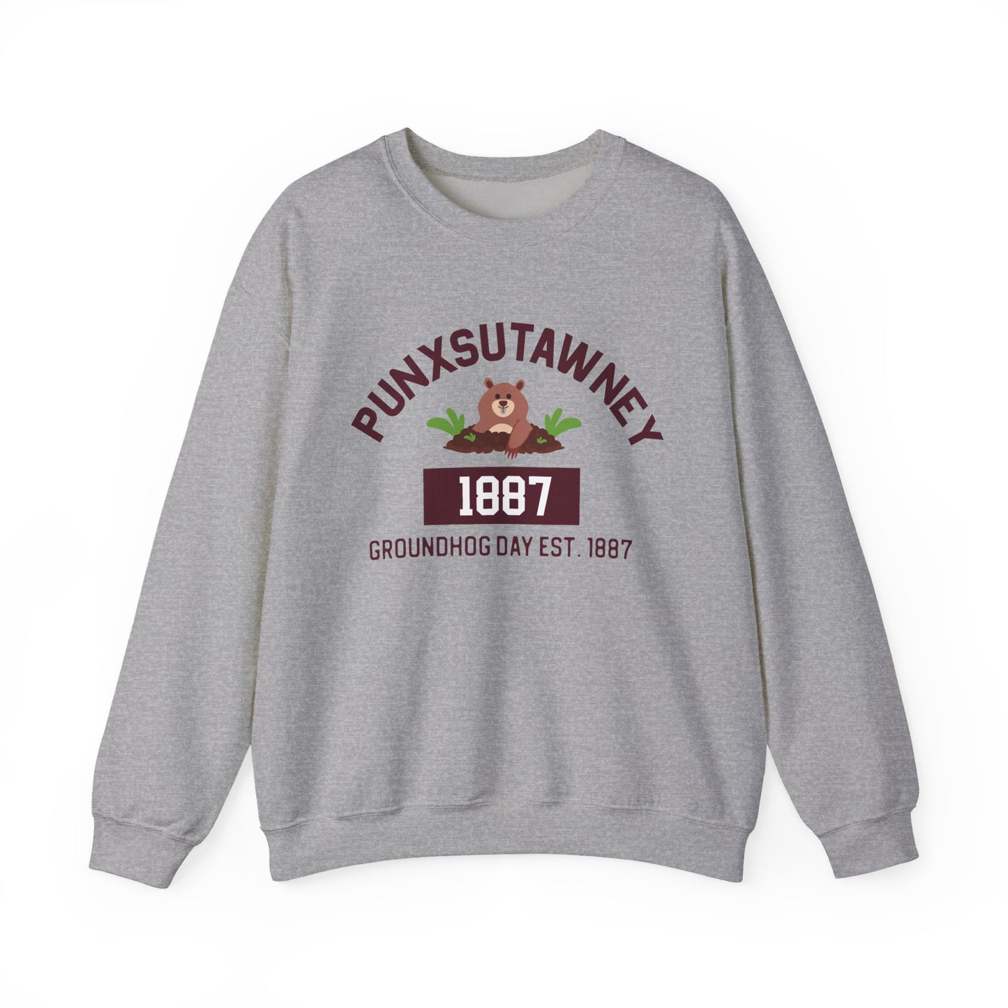 Copy of Graphic Groundhog Day Sweatshirt, Happy Groundhog Day Shirt, Funny Groundhog Shirt, Funny Nurse Groundhog Day Shirt, Groundhog Lovers Tops