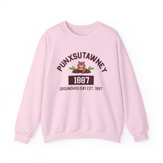 Copy of Graphic Groundhog Day Sweatshirt, Happy Groundhog Day Shirt, Funny Groundhog Shirt, Funny Nurse Groundhog Day Shirt, Groundhog Lovers Tops