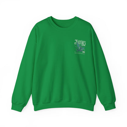 Graphic Designed Minimalist Crewneck Sweatshirt