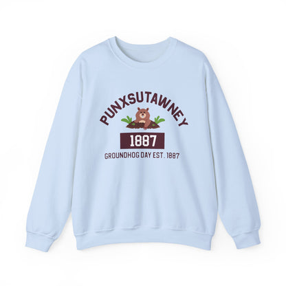 Copy of Graphic Groundhog Day Sweatshirt, Happy Groundhog Day Shirt, Funny Groundhog Shirt, Funny Nurse Groundhog Day Shirt, Groundhog Lovers Tops