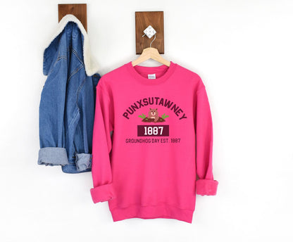 Graphic Groundhog Day Sweatshirt, Happy Groundhog Day Shirt