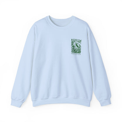 Graphic Designed Minimalist Crewneck Sweatshirt