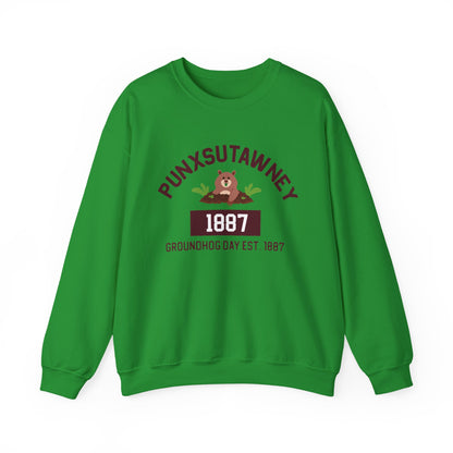 Copy of Graphic Groundhog Day Sweatshirt, Happy Groundhog Day Shirt, Funny Groundhog Shirt, Funny Nurse Groundhog Day Shirt, Groundhog Lovers Tops