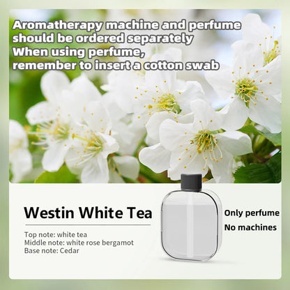 Automatic Aromatherapy Diffuser Scent Sprayer