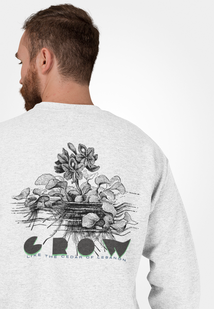 Graphic Designed Minimalist Crewneck Sweatshirt
